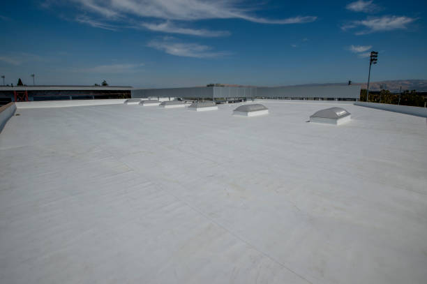 Best Roof Maintenance and Cleaning  in Waynesboro, MS