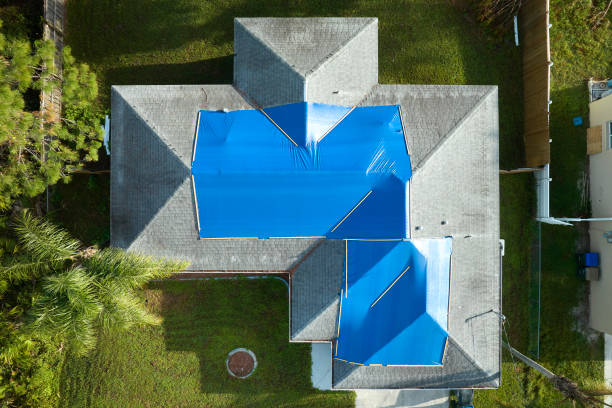 Best Commercial Roofing Services  in Waynesboro, MS