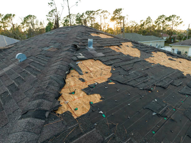 Best Slate Roofing  in Waynesboro, MS